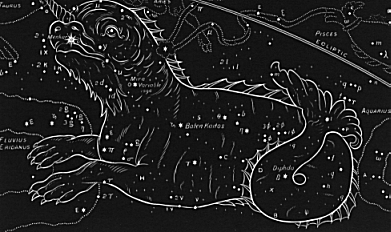 Whale-Constellation-Cetus-Fish-Mythology-Astrology-Sea-Monster